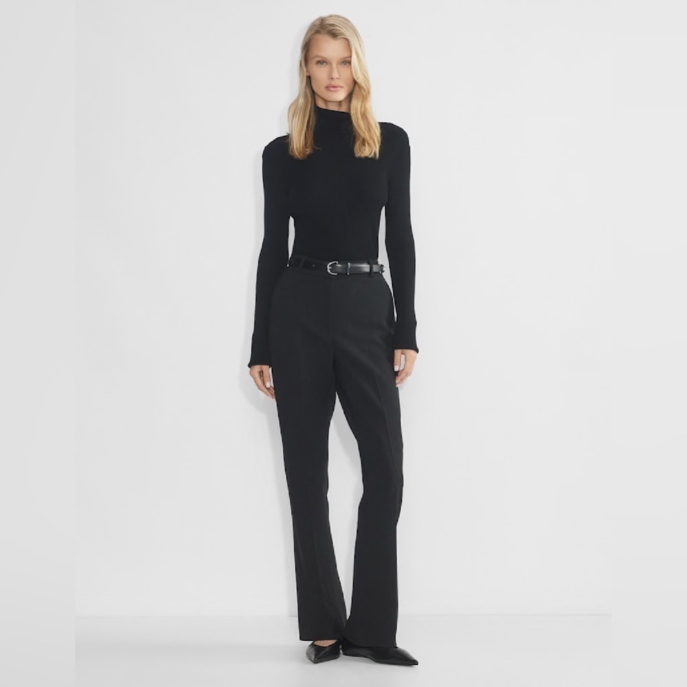 Aritzia Babaton Program Pant